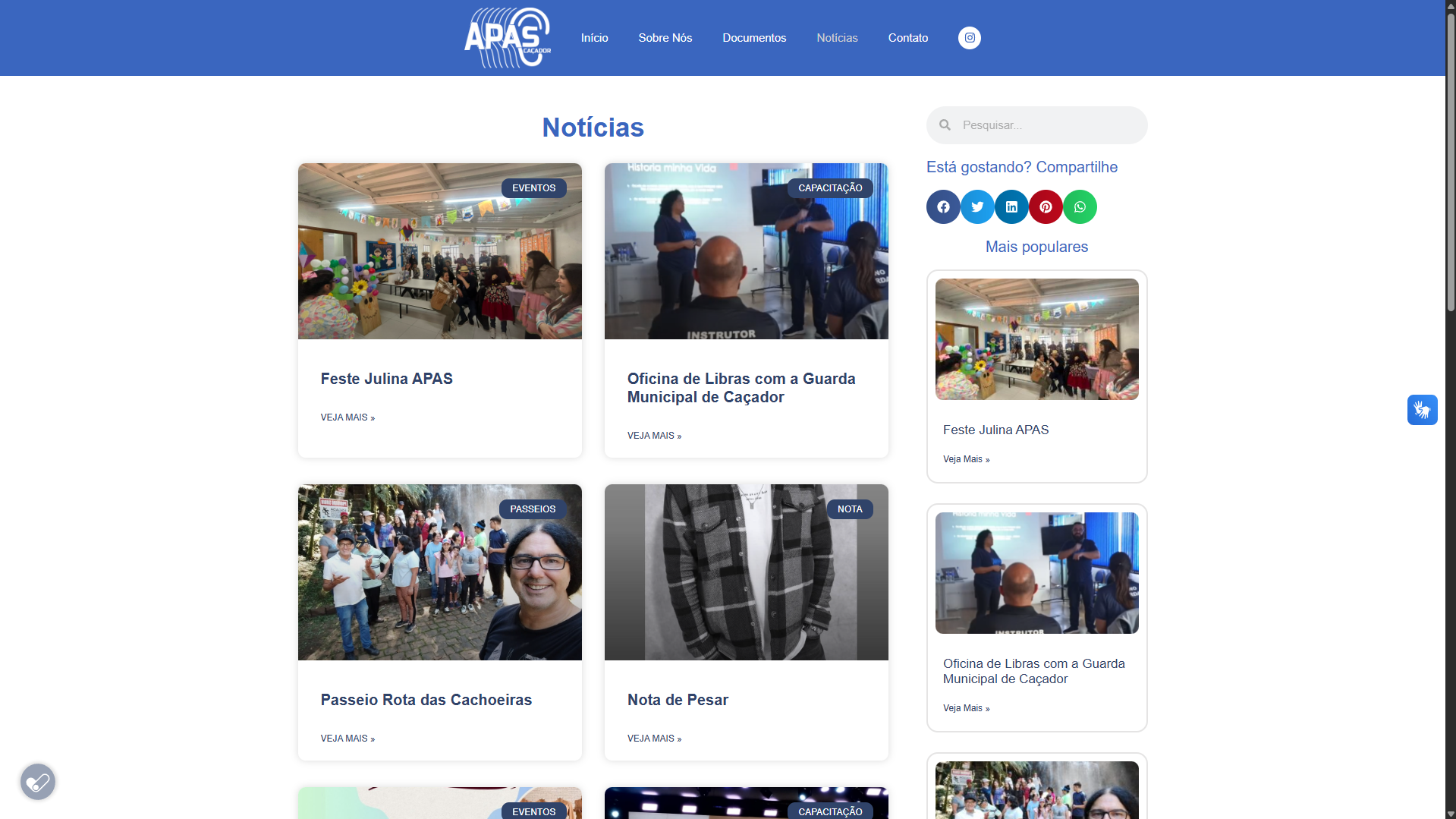 Site Institucional - APAS Caçador
