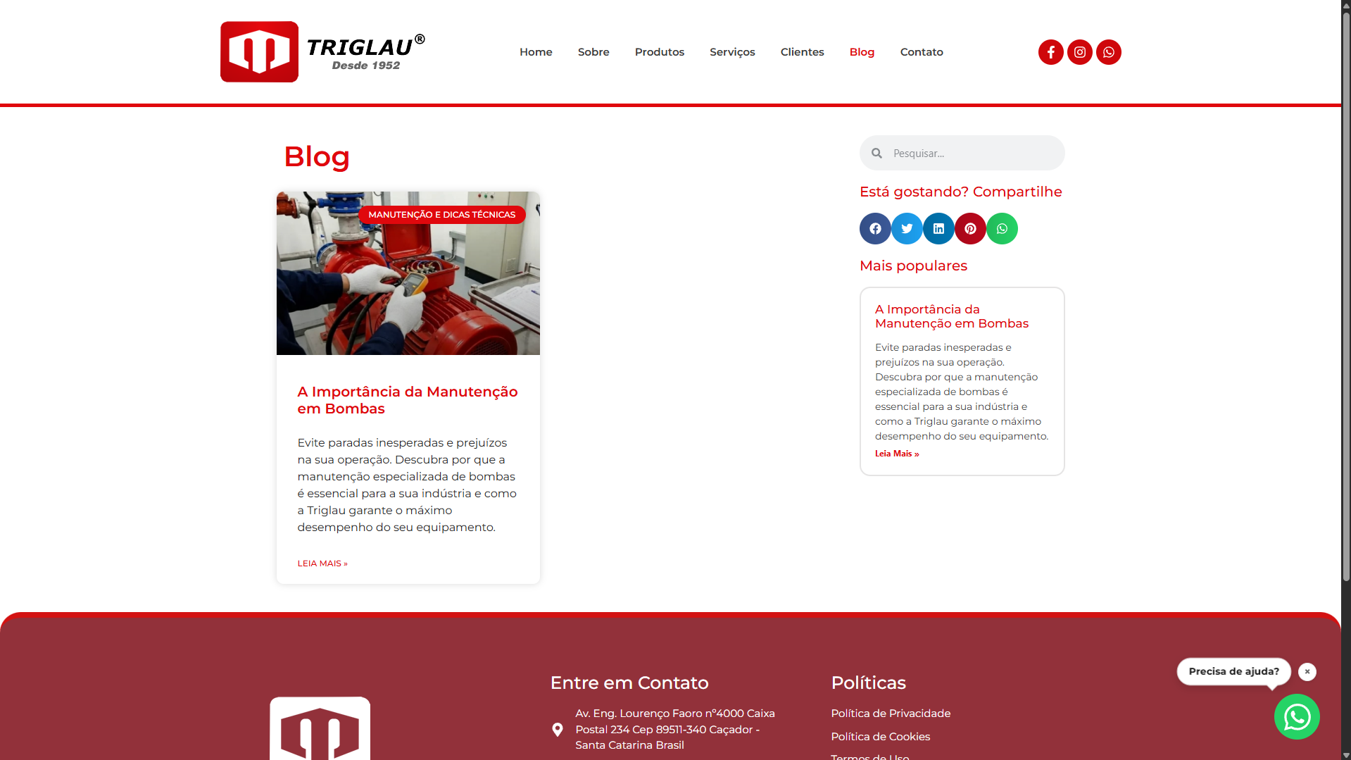 Site Institucional - Bombas Triglau