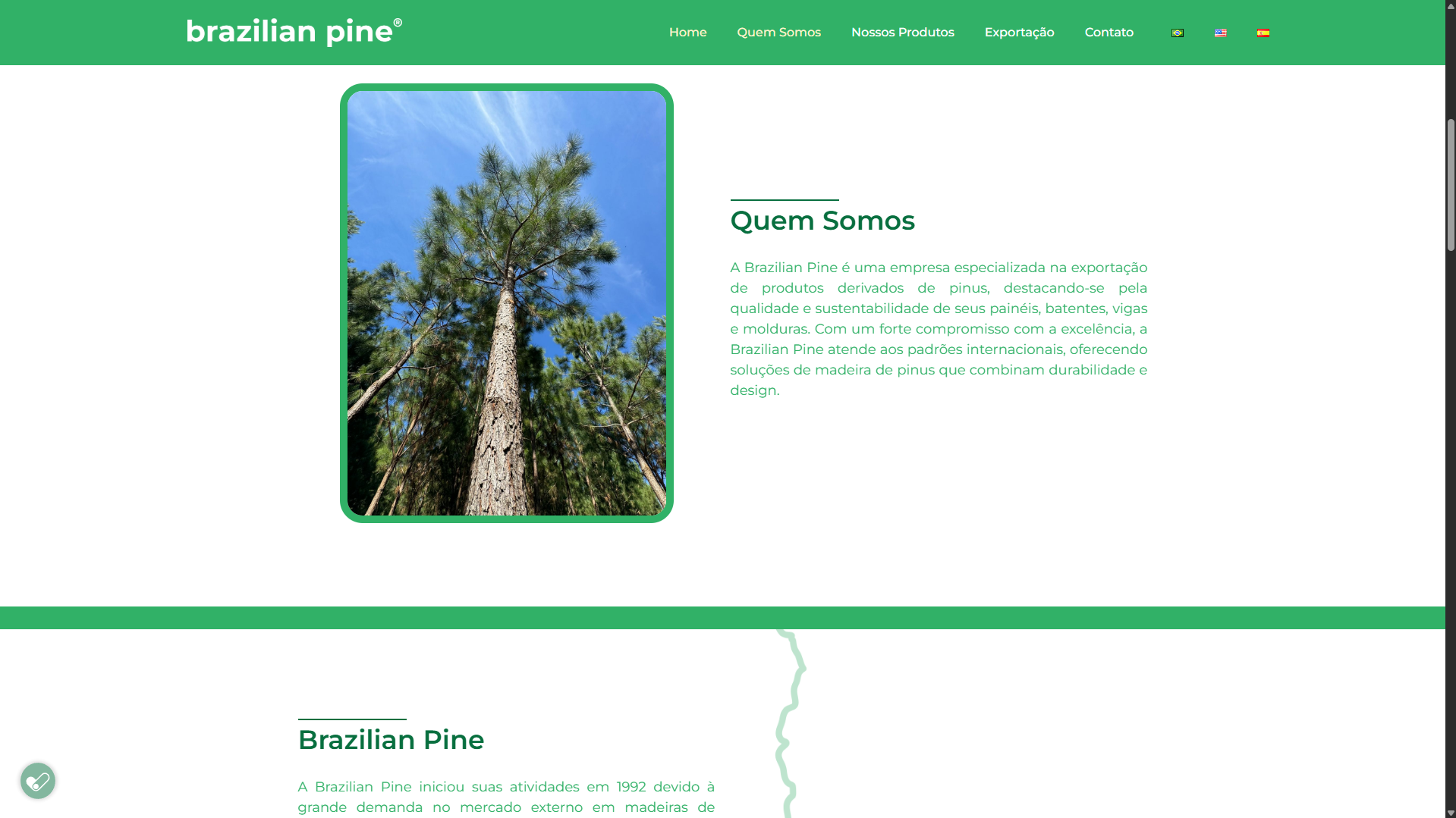 Site Institucional Multilíngue - Brazilian Pine