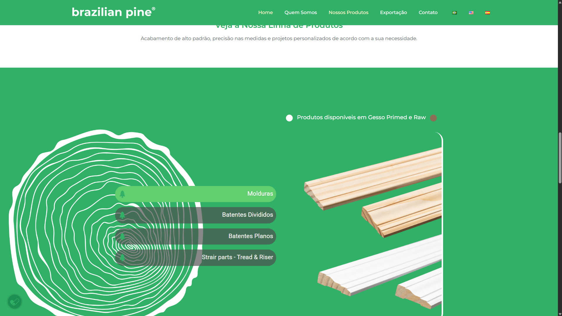 Site Institucional Multilíngue - Brazilian Pine