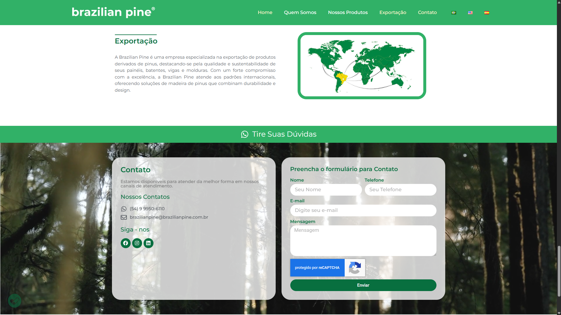 Site Institucional Multilíngue - Brazilian Pine