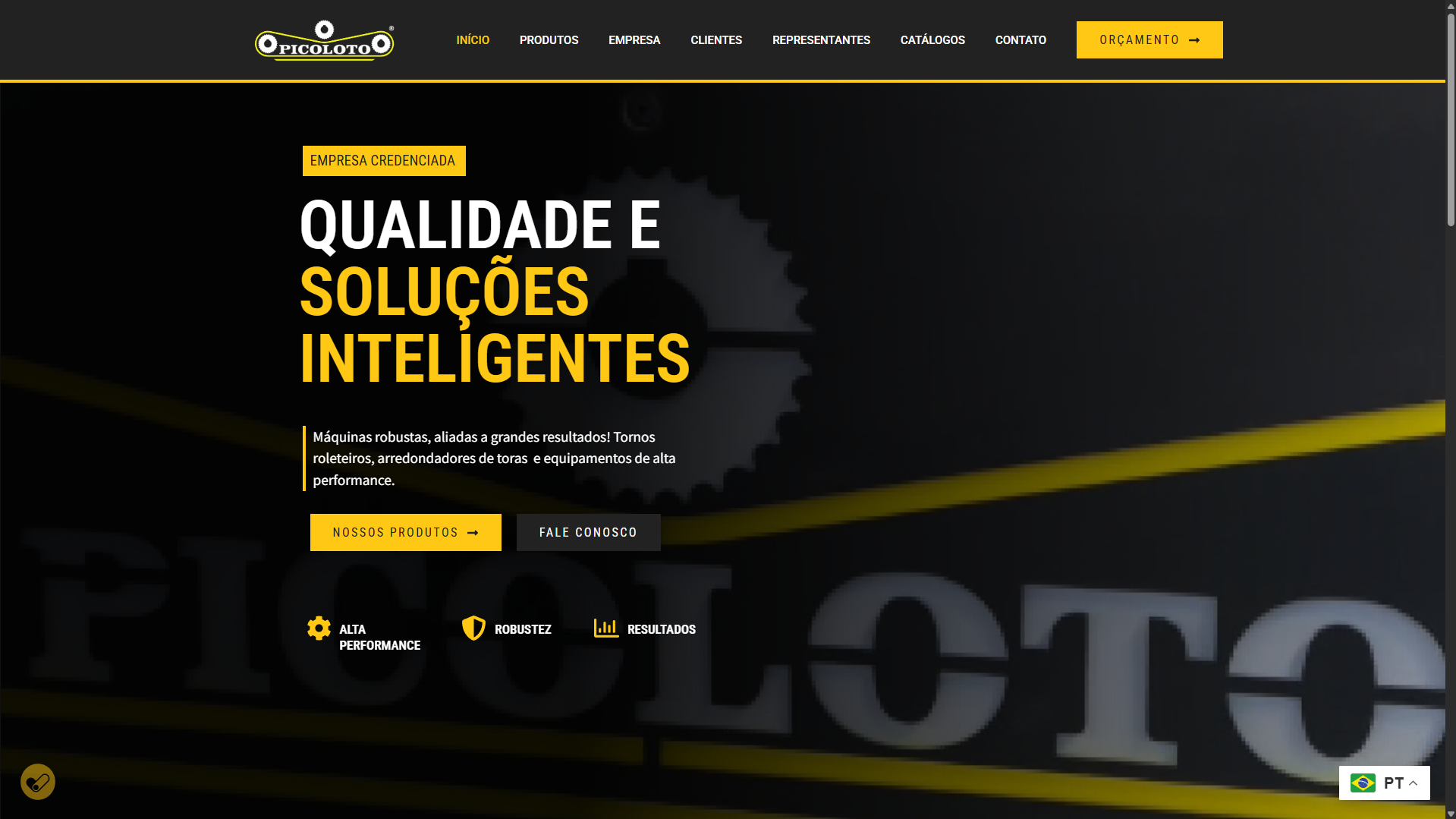 Site Institucional Multiunidade - Picoloto