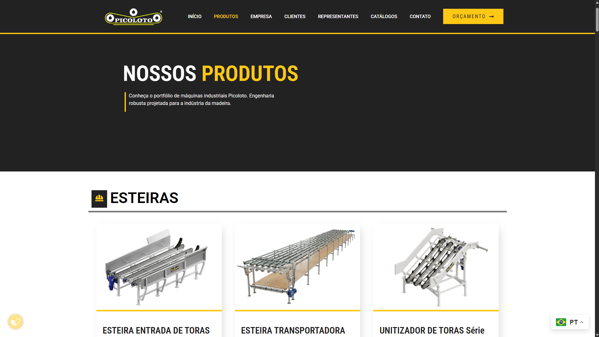 Site Institucional Multiunidade - Picoloto