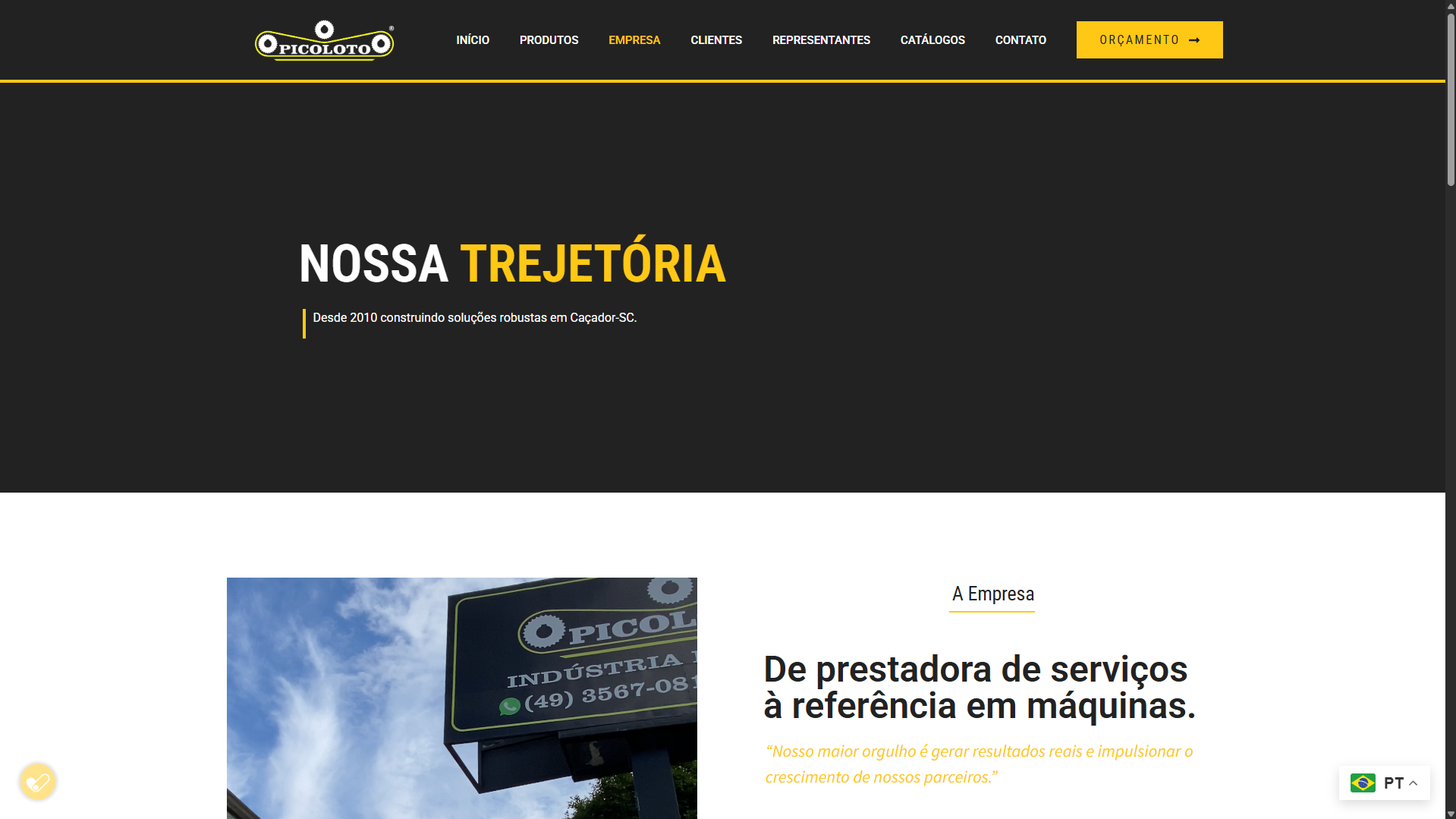 Site Institucional Multiunidade - Picoloto