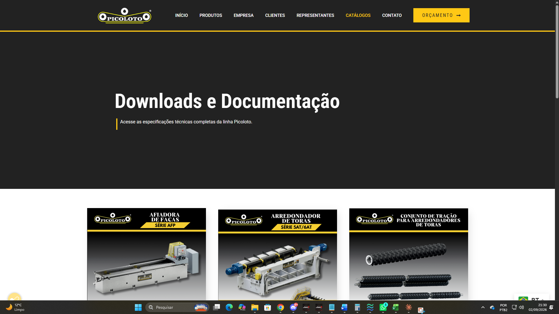 Site Institucional Multiunidade - Picoloto