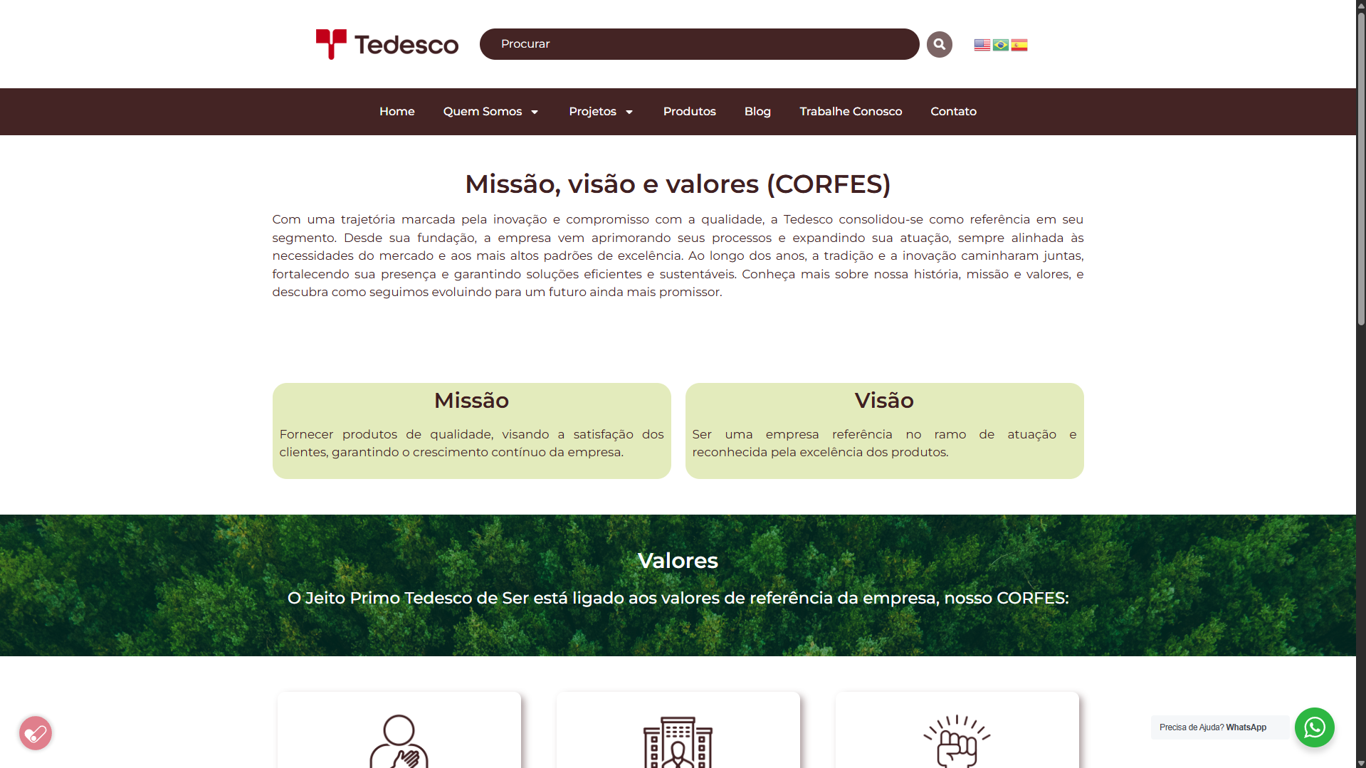 Site Institucional - Tedesco Celulose e Papel