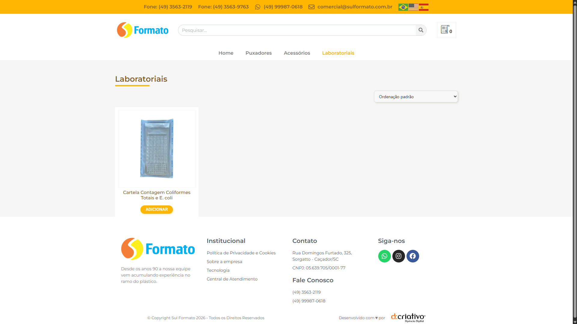 Site Institucional e Catálogo - Sul Formato
