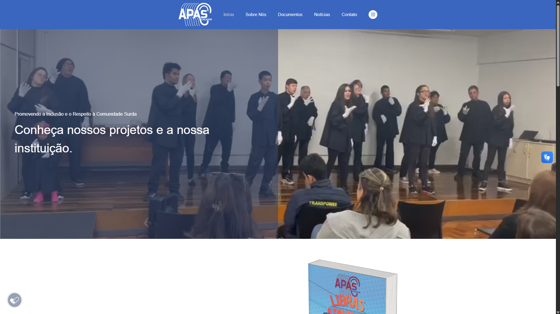 Site Institucional - APAS Caçador