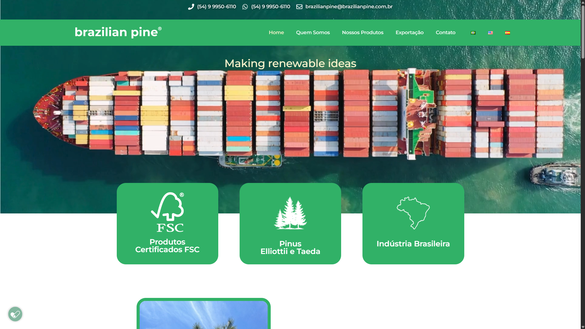 Site Institucional Multilíngue - Brazilian Pine