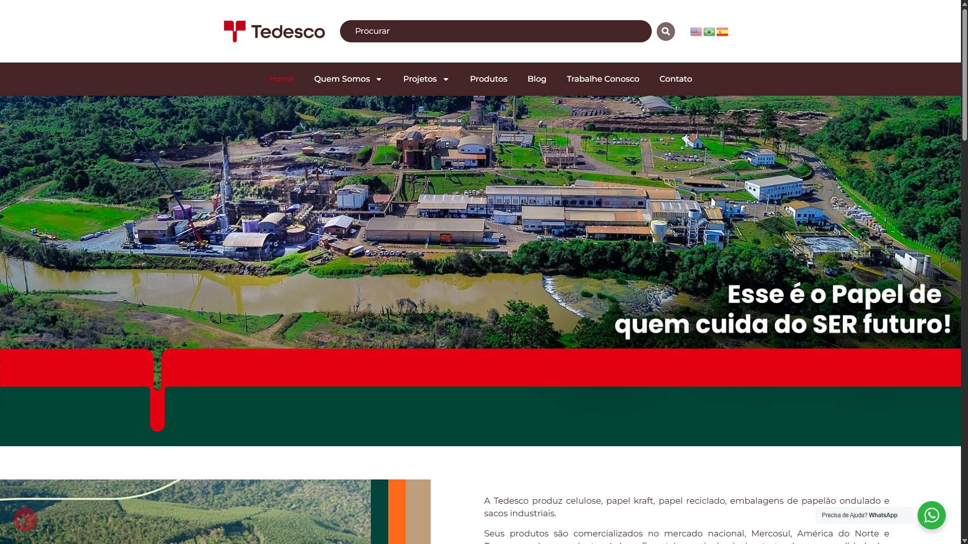 Site Institucional - Tedesco Celulose e Papel